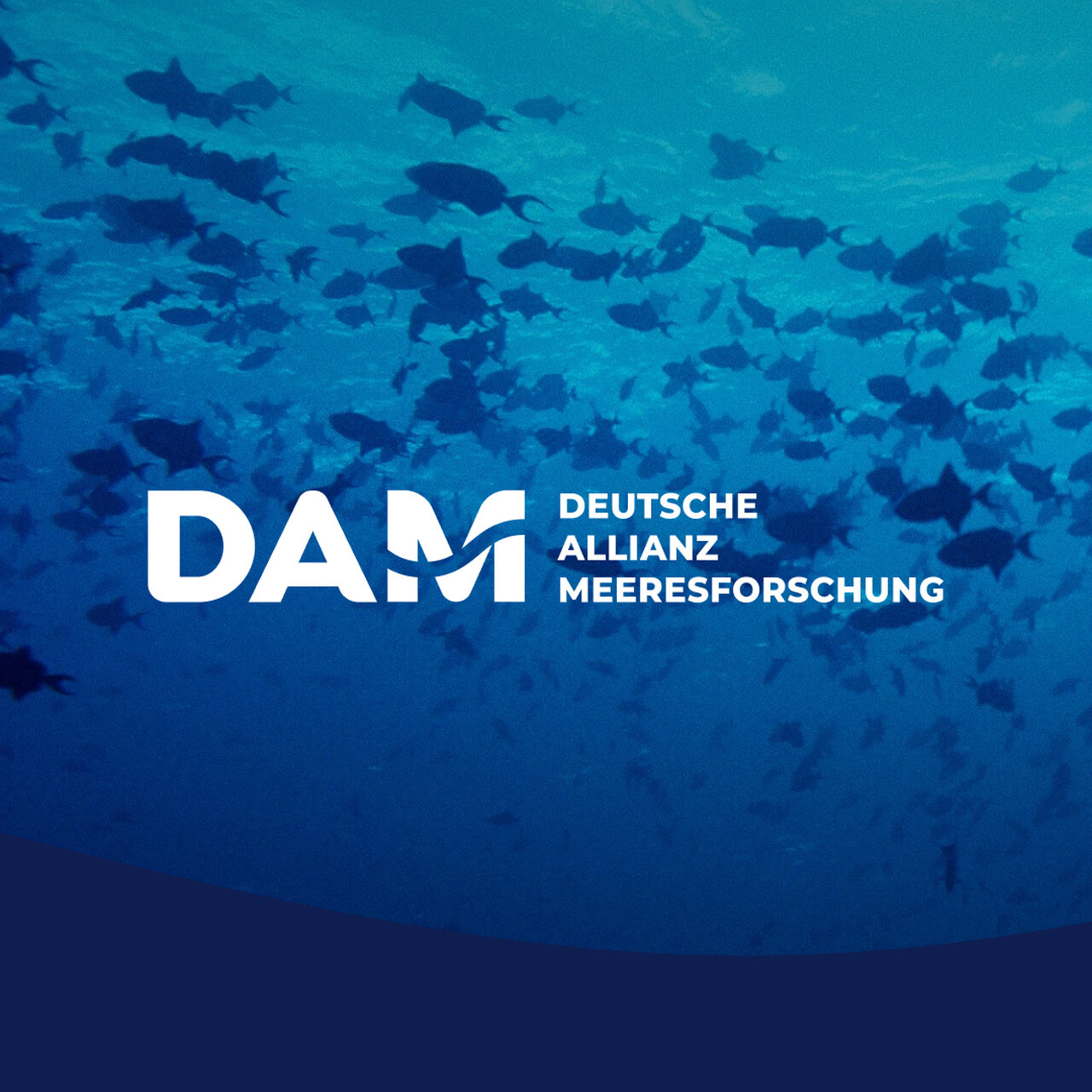 Logo der Deutschen Allianz Meeresforschung (DAM) in wei&szlig;er Schrift auf blauem Hintergrund mit Silhouetten von Meerestieren in verschiedenen Blaut&ouml;nen, die eine Unterwasserszenerie simulieren.