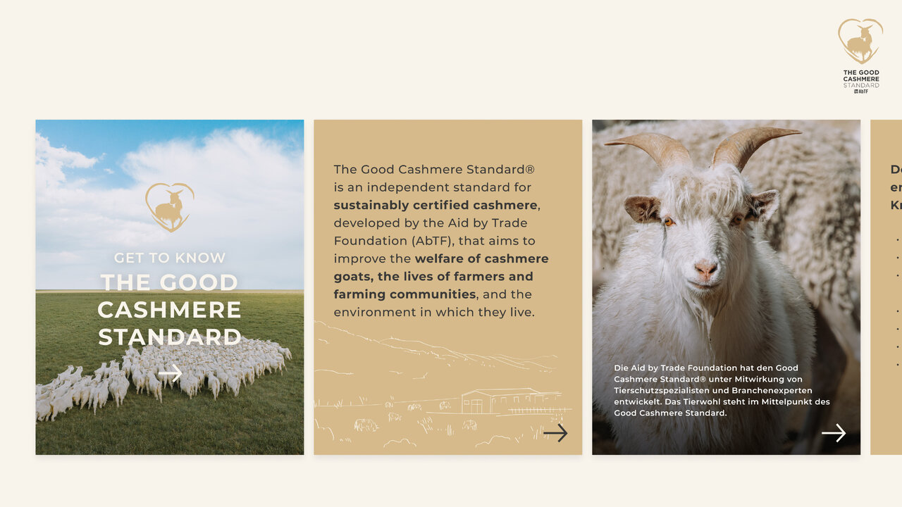Drei Panels pr&auml;sentieren die Good Cashmere Standard: Eine Wiese mit Schaf-Logo, ein erl&auml;uternder Text &uuml;ber die Standards und ein Bild einer Ziege vor einem Hintergrund mit Schafen, die die ethischen und nachhaltigen Prinzipien der Initiative illustrieren.
