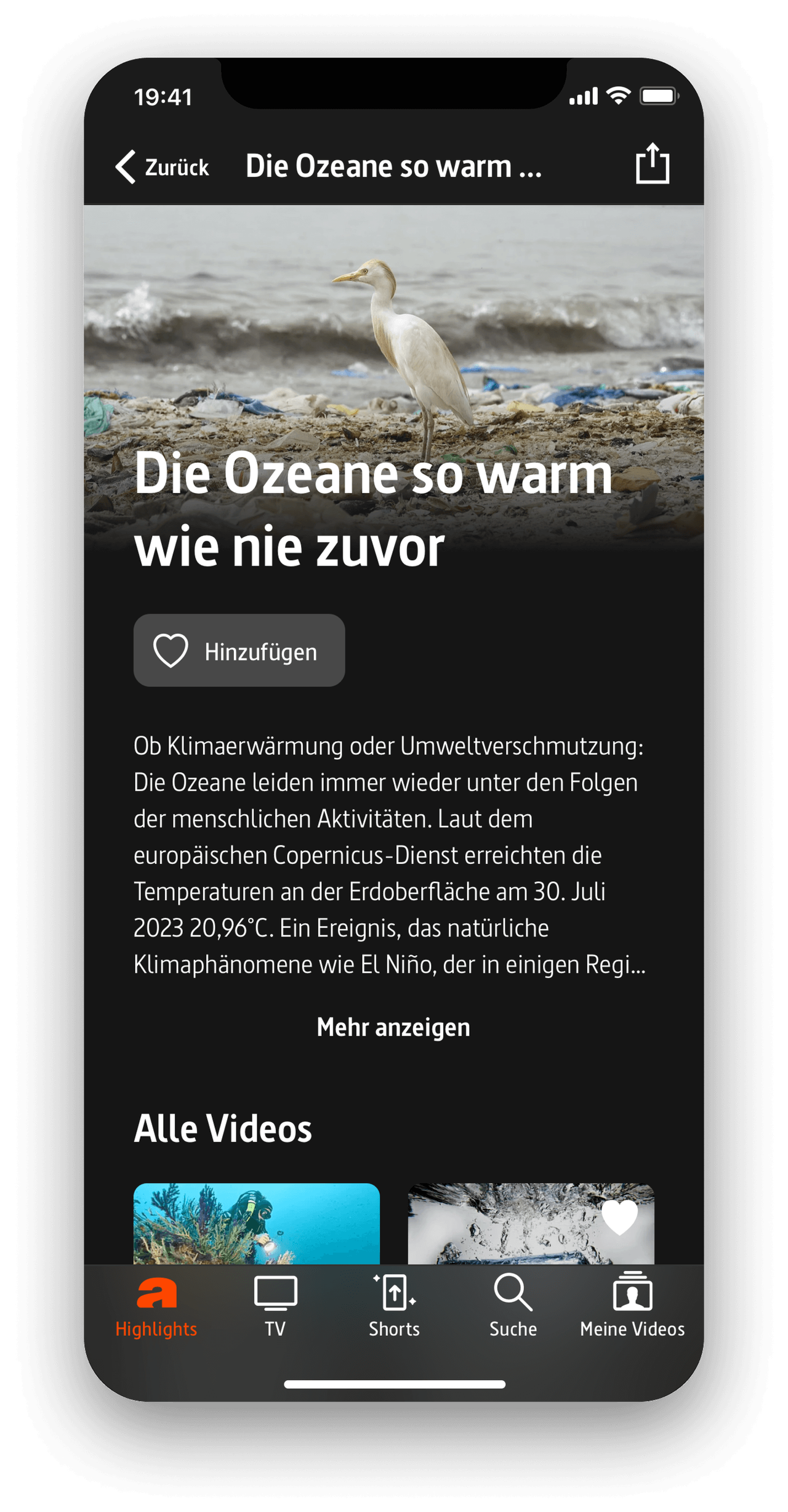 Wei&szlig;e Reiher auf einer verschmutzten K&uuml;ste mit Meereswellen im Hintergrund. Der Artikel thematisiert die Erderw&auml;rmung und deren Auswirkungen auf die Ozeane, mit dem Hinweis auf Rekordtemperaturen am 30. Juli 2023.
