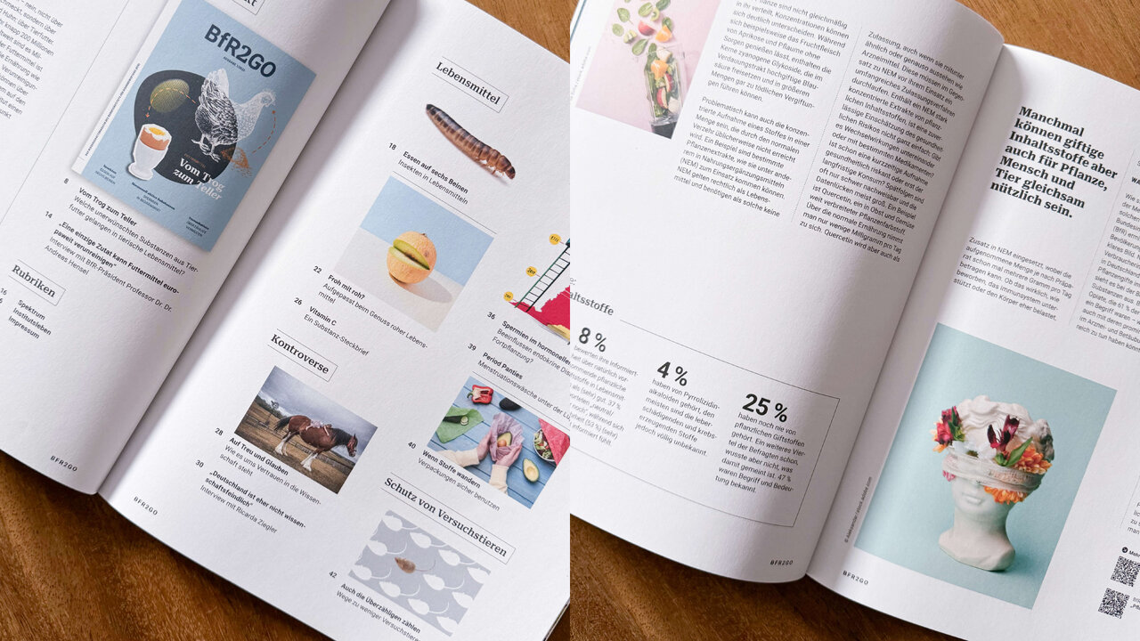 Magazinseiten des BfR2GO mit grafisch aufbereiteten Informationen, Illustrationen und Seitenlayouts, die wissenschaftliche Inhalte ansprechend und klar pr&auml;sentieren.