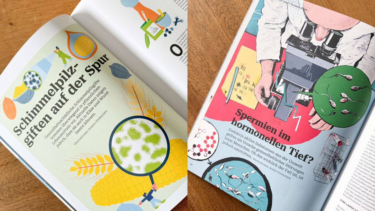 Zwei Zeitschriftenseiten des BfR2GO-Wissenschaftsmagazins mit farbenfrohen, wissenschaftlich-illustrativen Grafiken. Grafische Elemente wie Vergr&ouml;&szlig;erungsgl&auml;ser, Mikroorganismen und stilisierte Laborutensilien visualisieren komplexe wissenschaftliche Inhalte auf kreative und verst&auml;ndliche Weise.