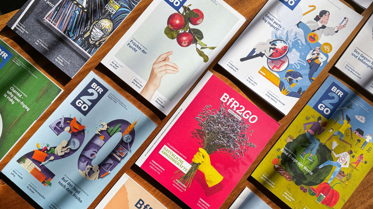Verschiedene Ausgaben des Wissenschaftsmagazins BfR2GO, aufgeschlagen und nebeneinander gelegt, zeigen bunte Illustrationen, grafische Gestaltungen und unterschiedliche Covermotive mit kreativen Designs auf Hochglanzseiten.