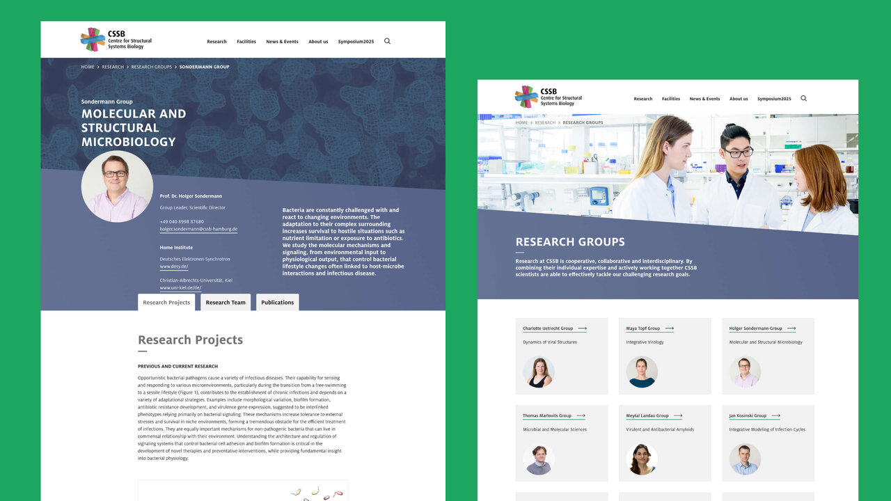 Zwei Webseiten-Layouts des Centre for Structural Systems Biology (CSSB) mit blau-grauer Farbpalette, zeigen Forschungsprojekte und ein Team von Wissenschaftlern in einem Labor.