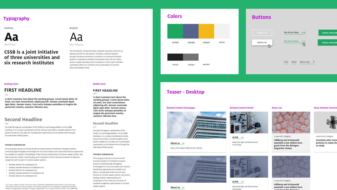 Design-Styleguide f&uuml;r das Centre for Structural Systems Biology (CSSB) mit Typografie, Farbpalette, Buttons und Teaser-Layouts in gr&uuml;n-grauer Farbgestaltung, die Designelemente und Webseiten-Komponenten f&uuml;r eine wissenschaftliche Einrichtung strukturiert darstellt.