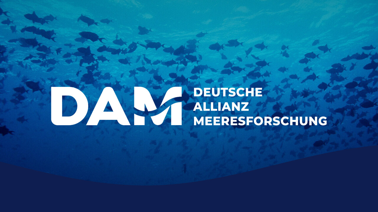 DAM-Logo in wei&szlig; vor einem t&uuml;rkisblauen Unterwasser-Hintergrund mit einer Silhouette von Fischschw&auml;rmen, die die maritime Forschungsthematik der Deutschen Allianz Meeresforschung symbolisieren.