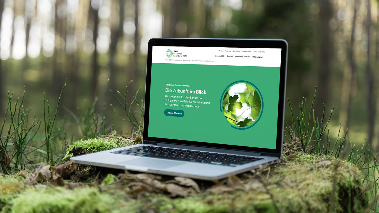 Laptop auf moosigem Waldboden platziert, zeigt Website-Design in Gr&uuml;nt&ouml;nen mit kreisf&ouml;rmigem Element, symbolisiert digitale Kommunikation im Umweltschutz.