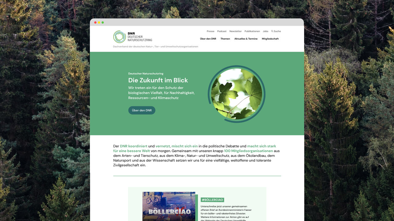 Website-Design f&uuml;r den Deutschen Naturschutzring mit gr&uuml;ner Farbpalette, zentriert auf einen Globus und einen Webseitenausschnitt vor einem Hintergrund von Tannen- und Laubwald in Herbstt&ouml;nen.