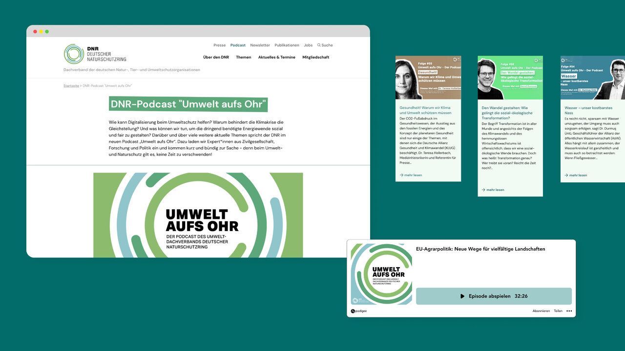 Verschiedene Screenshot-Ansichten der neu gestalteten DNR-Website mit gr&uuml;nem Farbschema, die eine klare und &uuml;bersichtliche Benutzeroberfl&auml;che f&uuml;r die Umweltschutz-Plattform pr&auml;sentieren, mit Fokus auf Inhaltsstruktur und Benutzerfreundlichkeit.