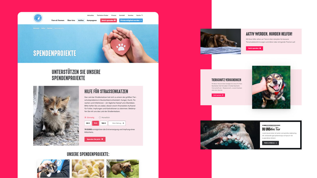 Mehrere Mockups des neu gestalteten Webauftritts f&uuml;r den Deutschen Tierschutzbund, die modulare Webseitendesigns mit Spendenoptionen, Kampagnenbildern und klarer Navigation zeigen. Screenshot-Collage mit verschiedenen Designelementen auf pink-blauem Hintergrund, pr&auml;sentiert unterschiedliche Seitenansichten mit Tierfotos und Gestaltungselementen.