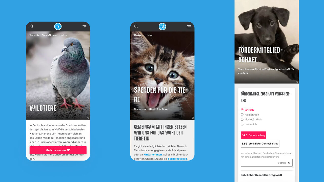 Drei Smartphone-Bildschirme mit Webdesign f&uuml;r den Tierschutzbund: Ein Bildschirm zeigt einen Taubenvogel, der zweite eine Katze und der dritte einen schwarzen Hund, alle mit gro&szlig;en Kampagnenbildern und klaren, modernen Designelementen.