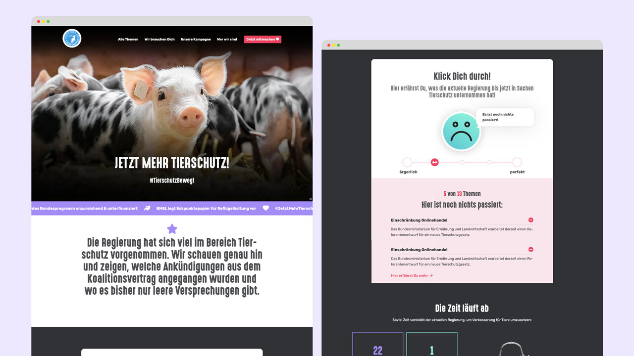 Zwei Websitedesign-Screenshots f&uuml;r eine Tierschutzkampagne mit Fokus auf Tierwohlthemen, eine Seite zeigt ein Schwein und den Slogan "Jetzt mehr Tierschutz!", die andere Seite pr&auml;sentiert ein Designelement mit einer Smiley-Grafik.