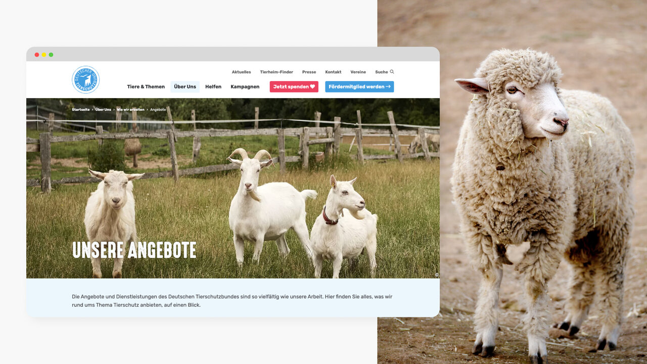 Drei wei&szlig;e Ziegen stehen auf einer Wiese hinter einem Holzzaun, rechts daneben ein zotteliges Schaf mit dichtem Fell in erdigen Farbt&ouml;nen. Die Webseite zeigt unter der &Uuml;berschrift "Unsere Angebote" den Ausschnitt einer Tierschutz-Website mit Navigationsmen&uuml;.