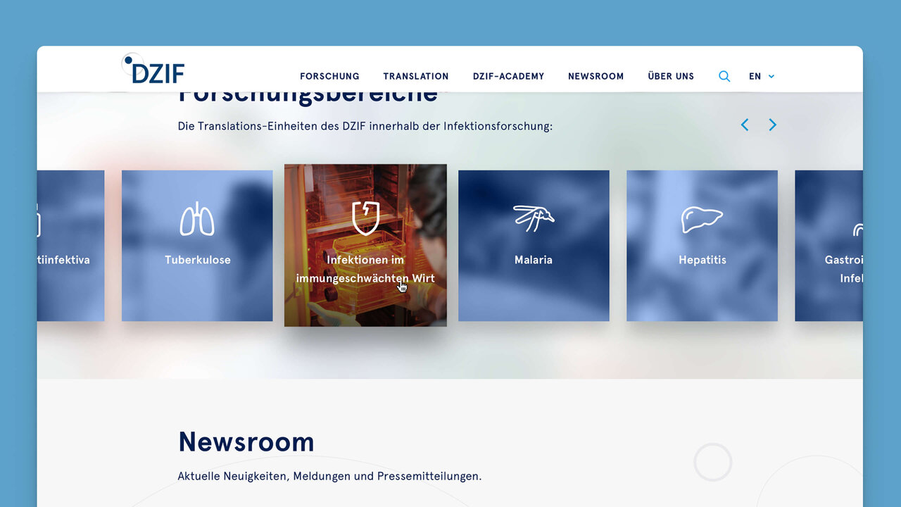 Website-Benutzeroberfl&auml;che des Deutschen Zentrums f&uuml;r Infektionsforschung (DZIF) mit Navigationsmen&uuml; und Kacheln zu verschiedenen Infektionskrankheiten wie Tuberkulose, Malaria und Hepatitis. Newsroom-Sektion zeigt aktuelle Nachrichten und Mitteilungen.