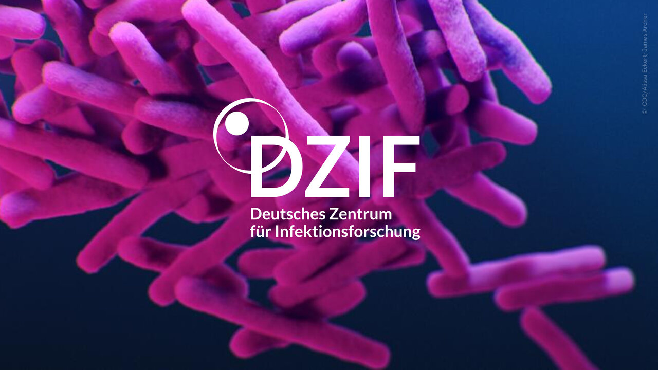 Mikroskopische Aufnahme von violetten, stabf&ouml;rmigen Bakterien oder Mikroorganismen vor einem blauen Hintergrund, mit dem DZIF-Logo in wei&szlig; und violett &uuml;berlagert.