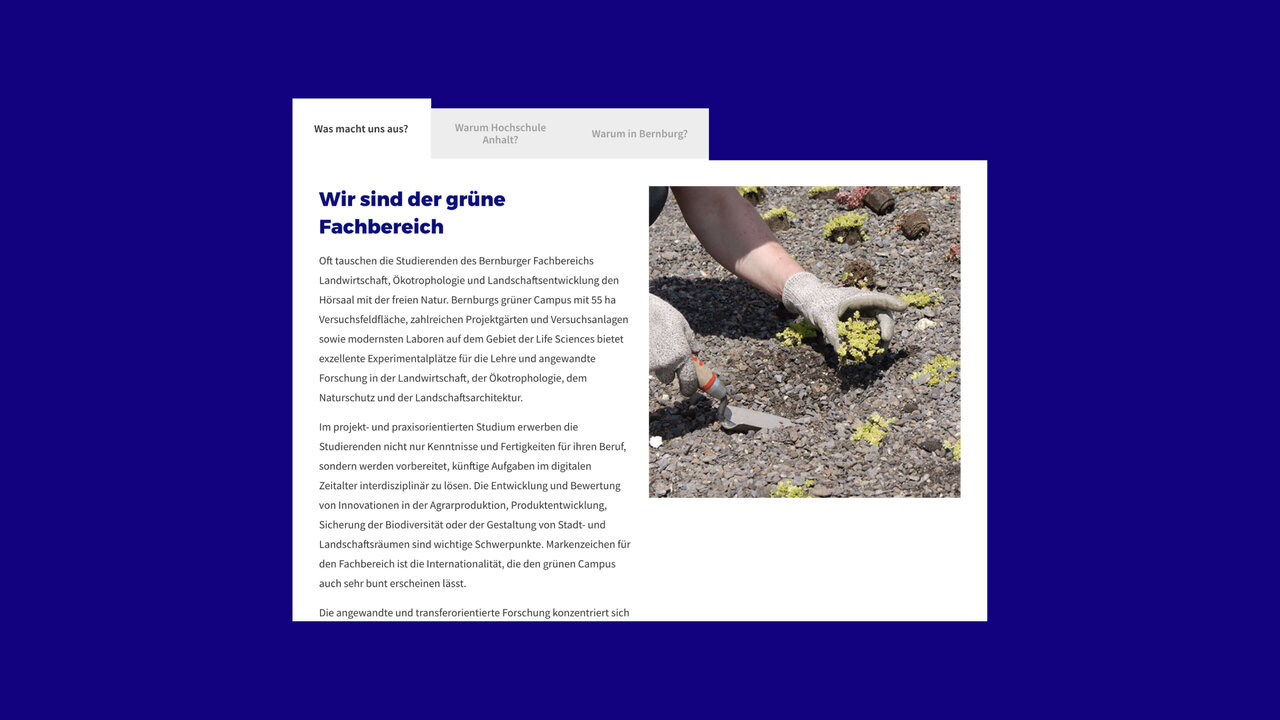 Eine Hand pflanzt eine kleine Pflanze in trockenen, steinigen Boden, symbolisch f&uuml;r Wachstum und Nachhaltigkeit.