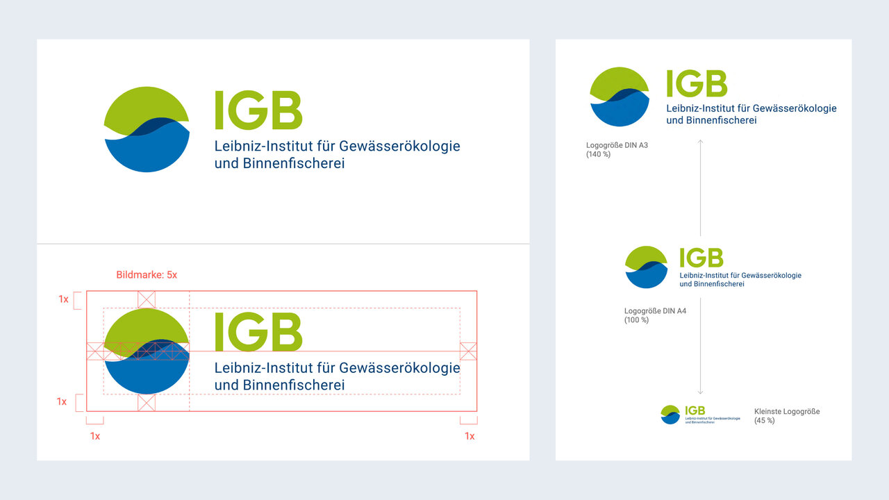 Drei Varianten des Corporate Design-Logos f&uuml;r das Leibniz-Institut f&uuml;r Gew&auml;sser&ouml;kologie und Binnenfischerei (IGB) in Blau und Gr&uuml;n, mit verschiedenen Anwendungen und Gr&ouml;&szlig;enangaben.