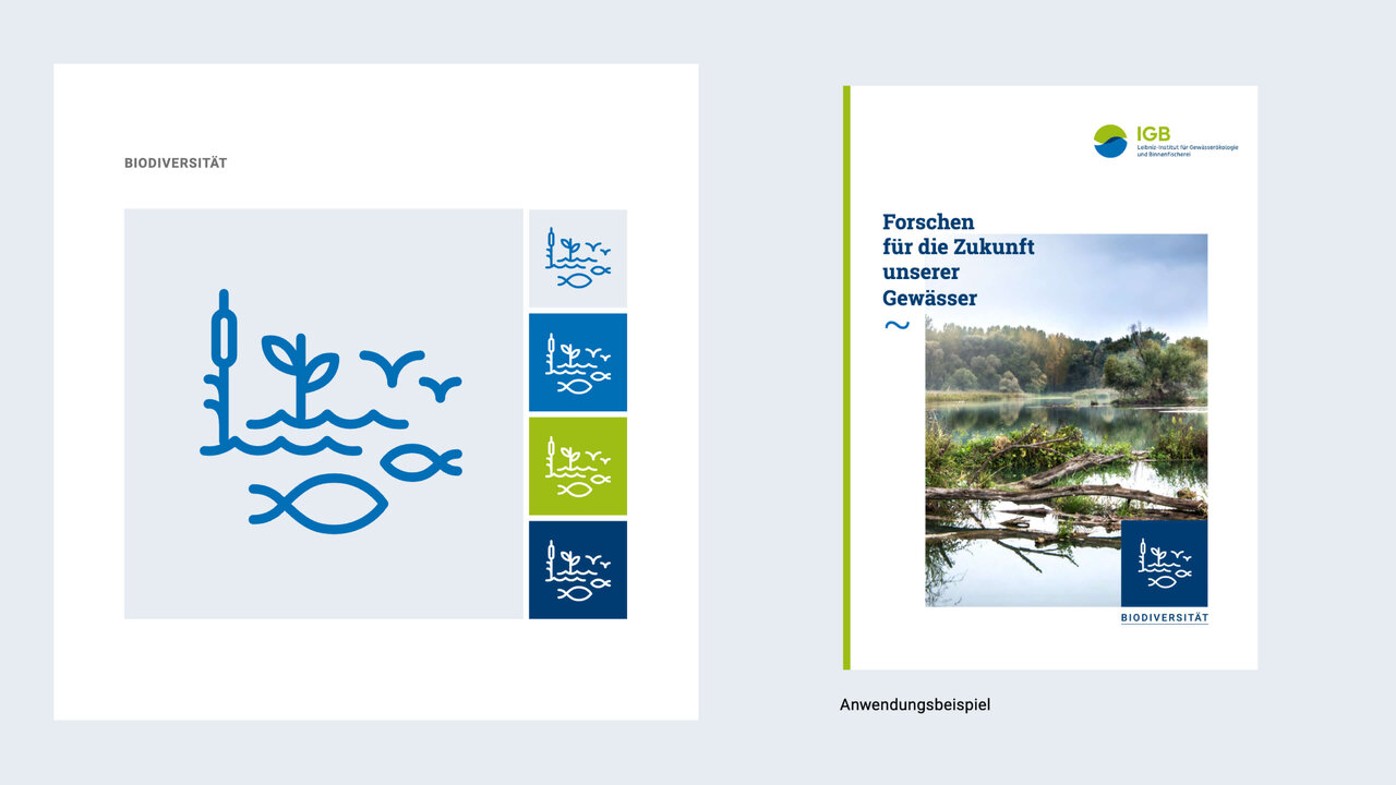 Designvorschau f&uuml;r das Corporate Design des Leibniz-Instituts f&uuml;r Gew&auml;sser&ouml;kologie und Binnenfischerei (IGB) mit einem blauen Icon von Wasser und Fischen sowie dem Titelblatt eines Forschungsberichts mit einem Gew&auml;sserfoto.