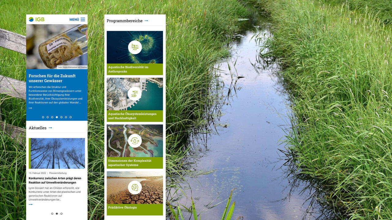 Schmaler Wasserlauf zwischen hohen Grasufern, daneben eine Website-Benutzeroberfl&auml;che mit mehreren Kacheln und Navigationselementen des Corporate Designs f&uuml;r das Leibniz-Institut f&uuml;r Gew&auml;sser&ouml;kologie und Binnenfischerei (IGB).
