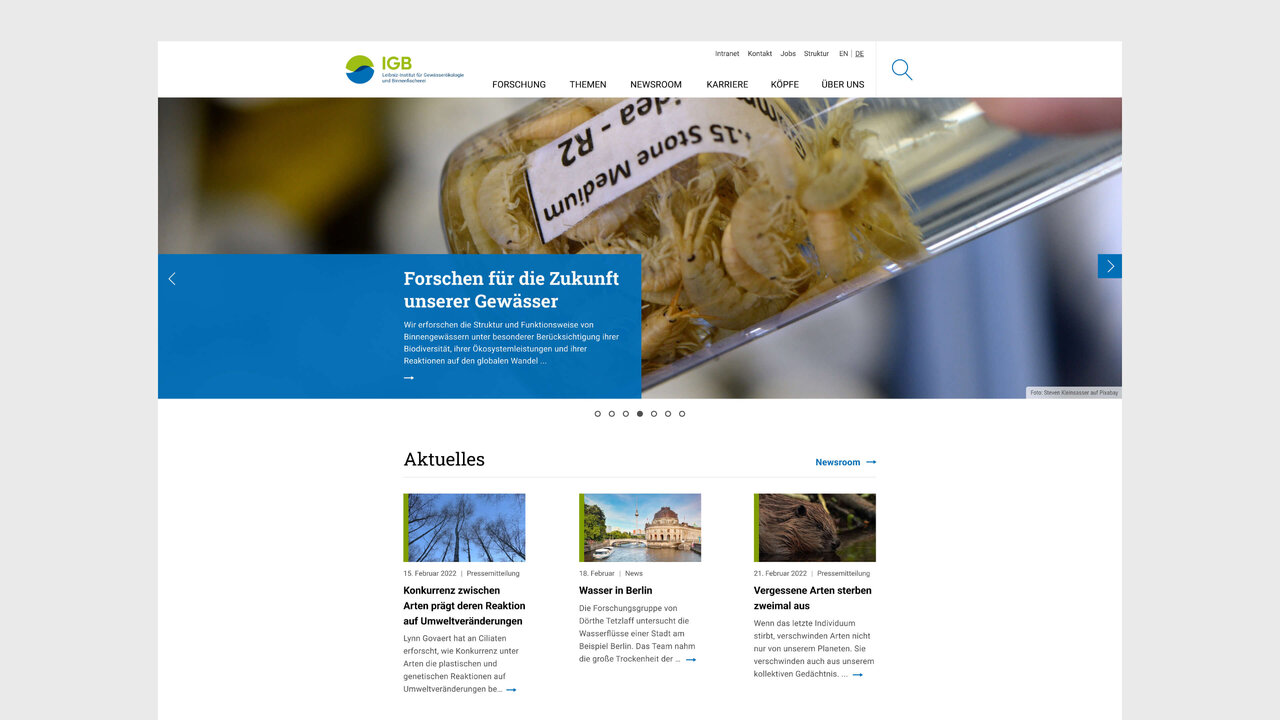 Website-Screenshot des Leibniz-Instituts f&uuml;r Gew&auml;sser&ouml;kologie und Binnenfischerei (IGB) mit blauem Headerbereich und Navigationselementen. Detailaufnahme eines wissenschaftlichen Laborbildes im Hintergrund mit dem Slogan "Forschung f&uuml;r die Zukunft unserer Gew&auml;sser".