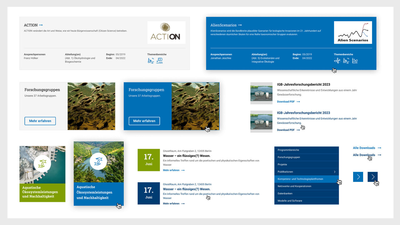 Modulares Websitelayout f&uuml;r das Leibniz-Institut f&uuml;r Gew&auml;sser&ouml;kologie und Binnenfischerei (IGB) mit blauen und gr&uuml;nen Designelementen, Screenshots und Gew&auml;sserfotos, die die Forschungsbereiche und Corporate Design des Instituts visuell pr&auml;sentieren.