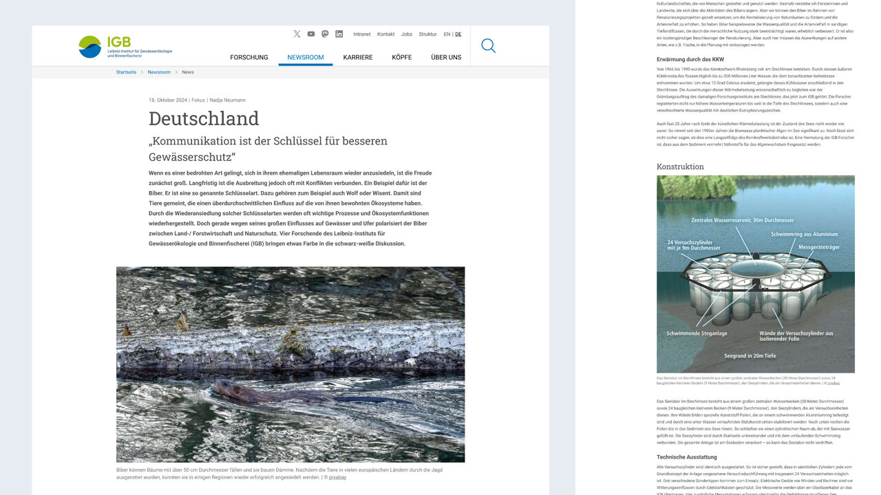 Detailaufnahme einer Gew&auml;sseroberfl&auml;che mit Reflexionen und Texturen, die das dynamische und komplexe &Ouml;kosystem von Gew&auml;ssern symbolisiert, passend zum Forschungskontext des Leibniz-Instituts f&uuml;r Gew&auml;sser&ouml;kologie und Binnenfischerei.