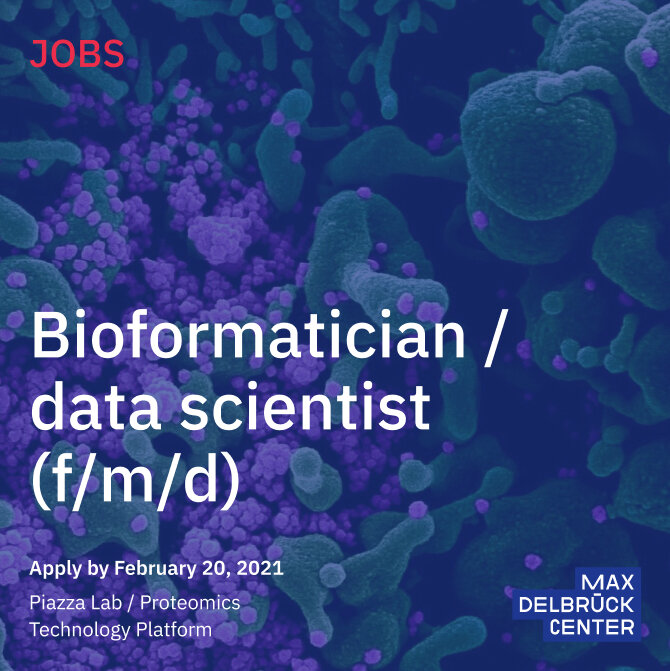 Job-Stellenausschreibung f&uuml;r Bioinformatiker/Datenwissenschaftler beim Max-Delbr&uuml;ck-Centrum, mit mikroskopischen biologischen Zellstrukturen in blau-violetten Farbt&ouml;nen im Hintergrund. Bewerbungsfrist ist der 20. Februar 2021 f&uuml;r die Piazza Lab/Proteomics Technology Platform.