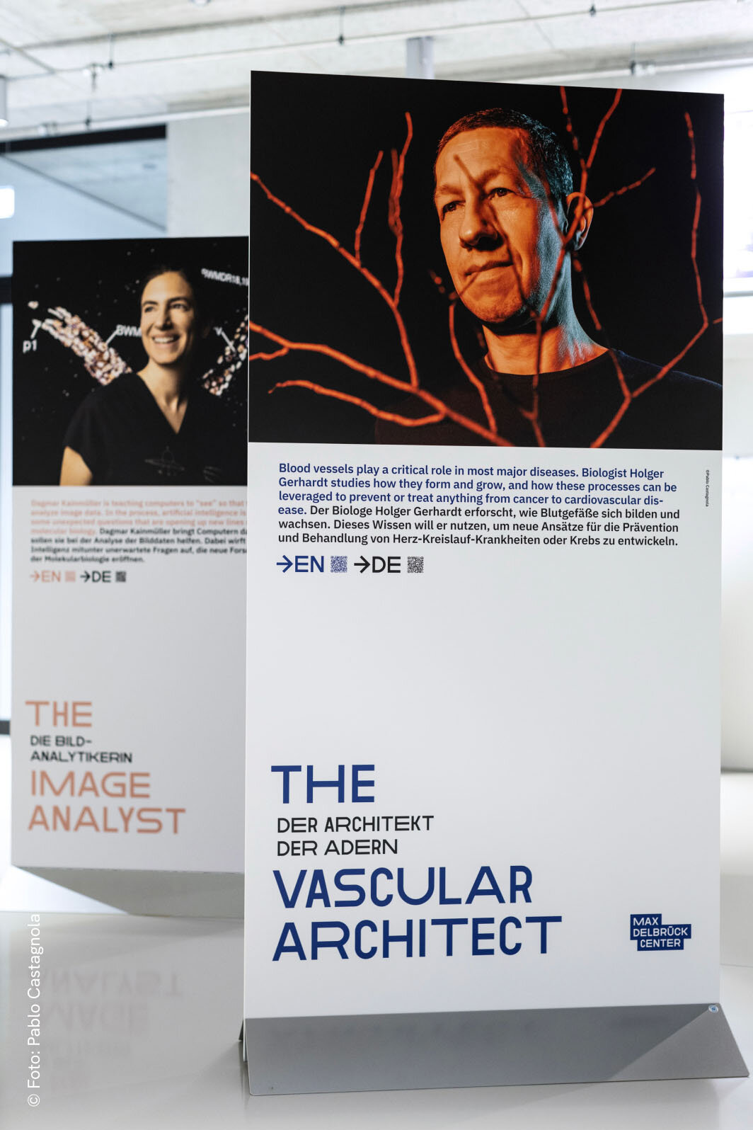 Zwei Plakate f&uuml;r "The Vascular Architect" mit Portr&auml;ts von zwei Personen, einer mit einem l&auml;chelnden Gesichtsausdruck und der andere mit ernstem Blick vor einem orangefarbenen Geflecht von Blutgef&auml;&szlig;en.