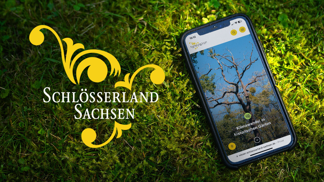 Schl&ouml;sser-Sachsen-Logo in gelber Farbe neben einem Smartphone, das eine Website mit einem Bild eines Baumes auf dem Bildschirm zeigt, auf einem gr&uuml;nen Mooshintergrund.