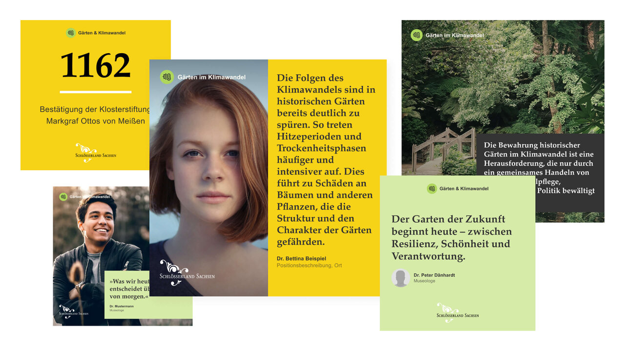 Collage von drei Projektseiten mit Fotos und Webdesign-Layouts in Gelb und Gr&uuml;n, zeigt Portraitaufnahmen und Websiteausschnitte f&uuml;r ein Wissensportal der Staatlichen Schl&ouml;sser, Burgen und G&auml;rten Sachsen.