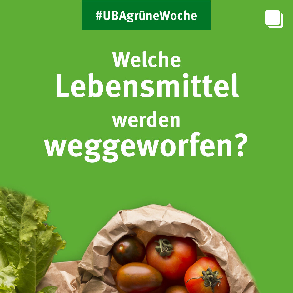 Verschiedene reife Tomaten in einer zerknitterten Papiert&uuml;te vor gr&uuml;nem Hintergrund mit der Frage: "Welche Lebensmittel werden weggeworfen?