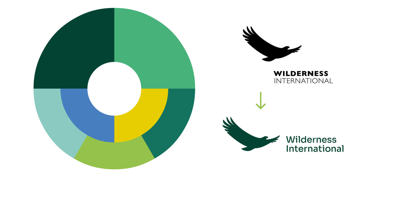 Logo und Farben von Wilderness International. Das Logo zeigt einen fliegenden Adler und wurde von Studio GOOD hinsichtlich Lesbarkeit und Farbigkeit optimiert.