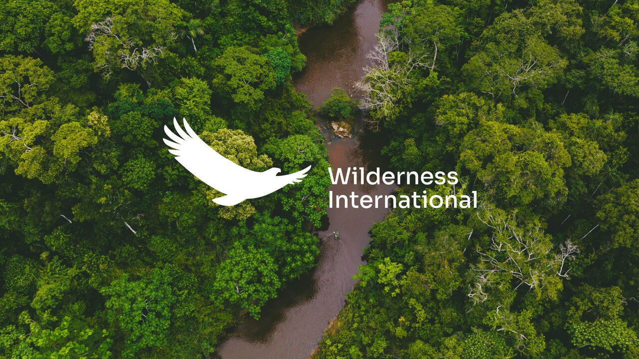 Luftaufnahme eines dichten, gr&uuml;nen Waldgebiets mit einem gewundenen braunen Fluss. Das wei&szlig;e Logo von Wilderness International in Form eines fliegenden Vogels schwebt &uuml;ber der &uuml;ppigen Landschaft.