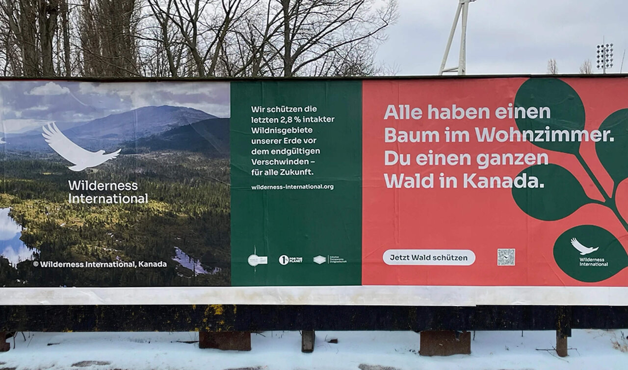 Werbeplakat von Wilderness International zur Weihnachtszeit. Es zeigt eine Waldlandschaft und Bergblick und wirbt damit, dass du statt nur einem Baum im Wohnzimmer an Weihnachten, einen ganzen Wald in Kanada haben kannst. Ein QR-Code und Call to Action mit den Worten "Jetzt Wald sch&uuml;tzen" leiten zum Handeln an.