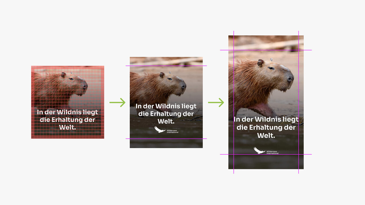 Drei Versionen eines Social Media Posts mit einem Capybara-Bild, die verschiedene Design-Varianten und Farbschemata zeigen. Jede Variante tr&auml;gt den Text "In der Wildnis liegt die Erhaltung der Welt..." mit leicht unterschiedlicher Gestaltung. Die Bilder demonstrieren die verschiedenen Layout-Varianten f&uuml;r unterschiedliche Anwendungsf&auml;lle im Social Media Kontext.