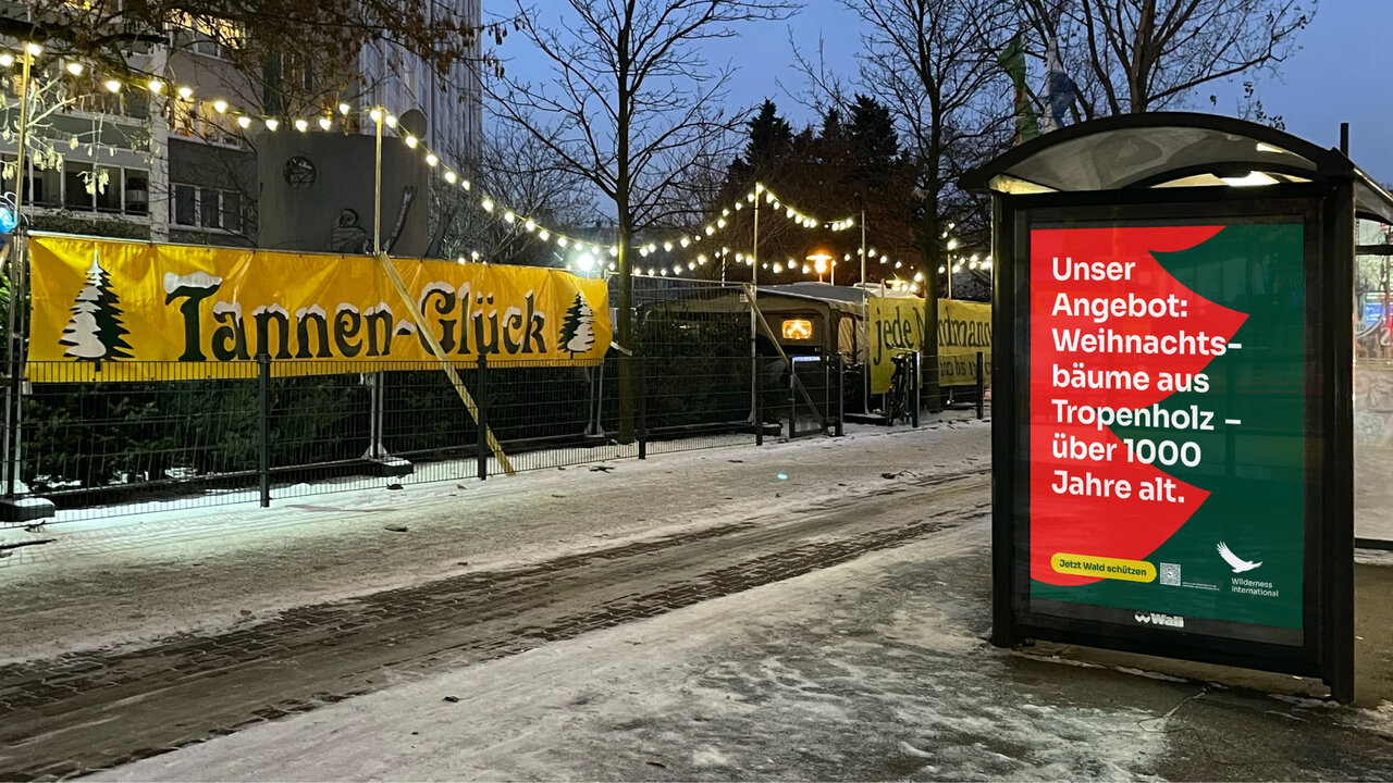 Winterliche Stra&szlig;enszene mit einem gelben Banner f&uuml;r "Tannen-Gl&uuml;ck". Beleuchtete B&auml;ume und Lichterketten s&auml;umen einen verschneiten Gehweg. Im Vordergrund ist eine Bushaltestelle zu sehen, mit einem Plakat der Wilderness-Weihnachtskampagne. Darauf zu lesen ist "Unser Angebot: Weihnachtsb&auml;ume aus Tropenholz - &uuml;ber 1000 Jahre alt."
