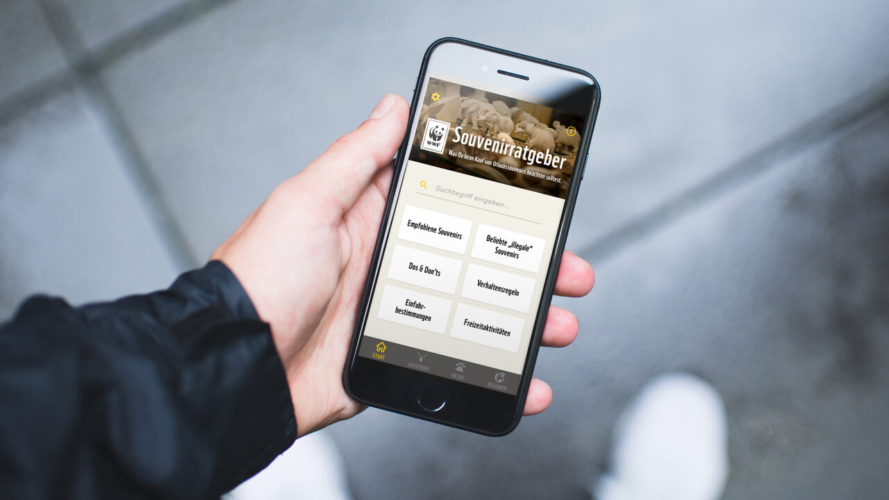 EineHand h&auml;lt ein Smartphone mit der Souvenirratgeber-App des WWF, deren Men&uuml;seite auf dem Bildschirm zu sehen ist. Die App hilft Reisenden, sich &uuml;ber erlaubte und nicht erlaubte Mitbringsel zu informieren.