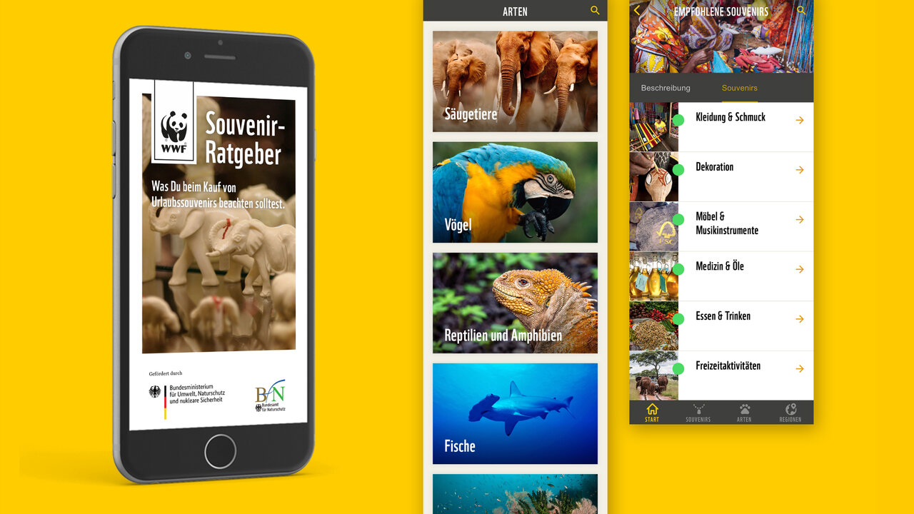 Smartphone mit ge&ouml;ffneter WWF Souvenirratgeber-App vor gelbem Hintergrund, zeigt verschiedene Men&uuml;seiten mit Tierfotos wie Papagei, Reptilien und Fische in einer &uuml;bersichtlichen App-Navigationsstruktur.